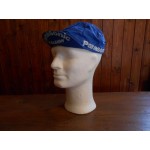 Retropet PANASONIC RALEIGH REGEN